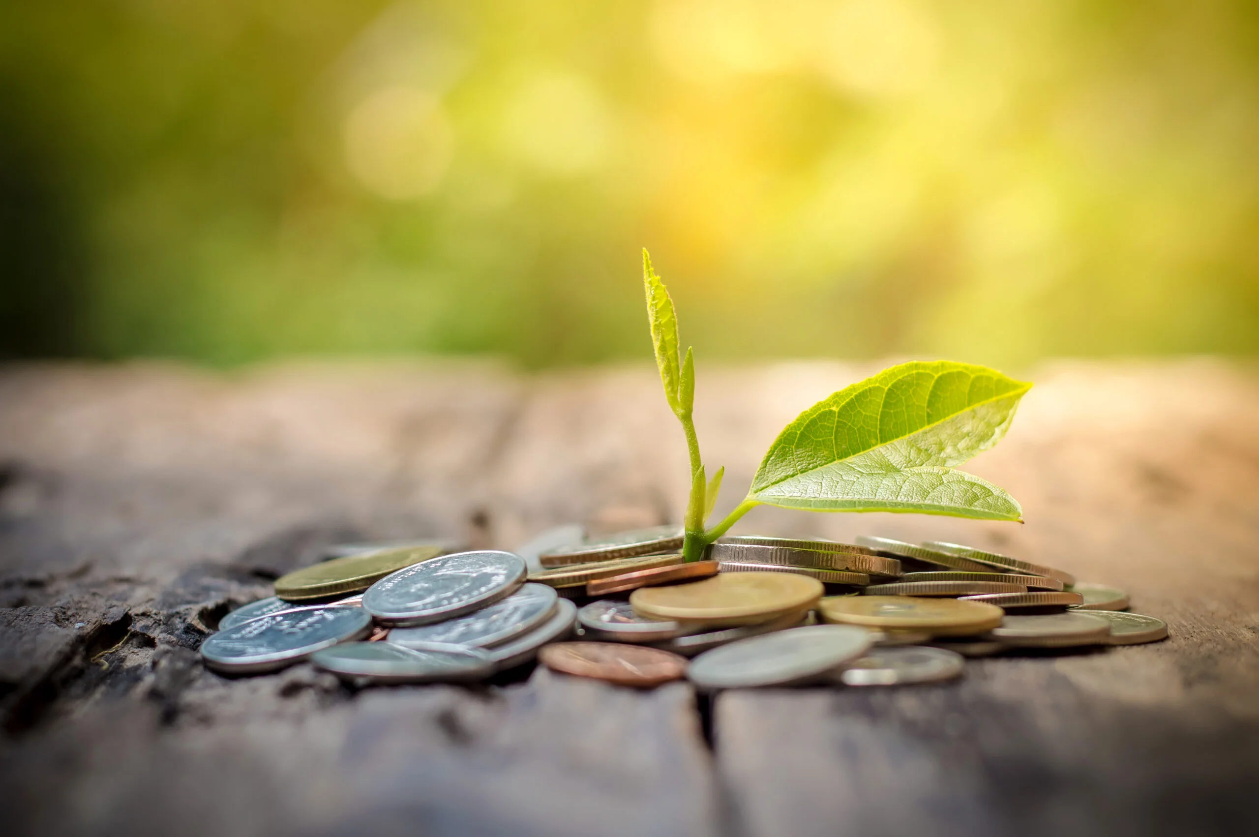A Prayer for Abundant Financial Blessings