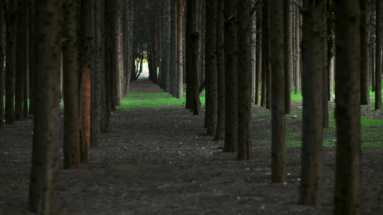 Christian Perspectives on Sacred Spaces in Nature