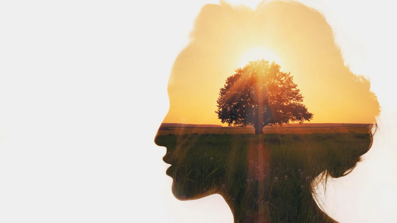 Developing a Rule of Life