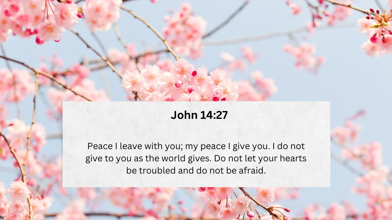 Discovering the Profound Peace of John 14:27