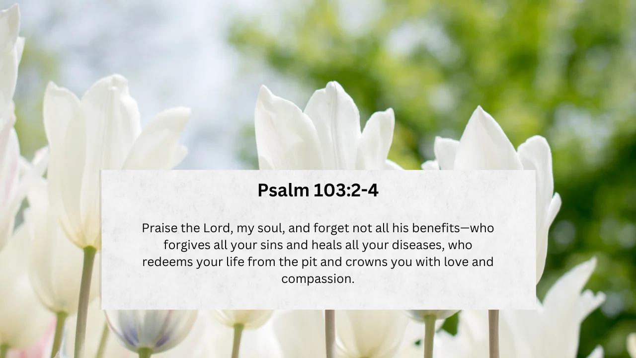 Embracing Grace: Exploring the Profound Benefits of Psalm 103:2-4