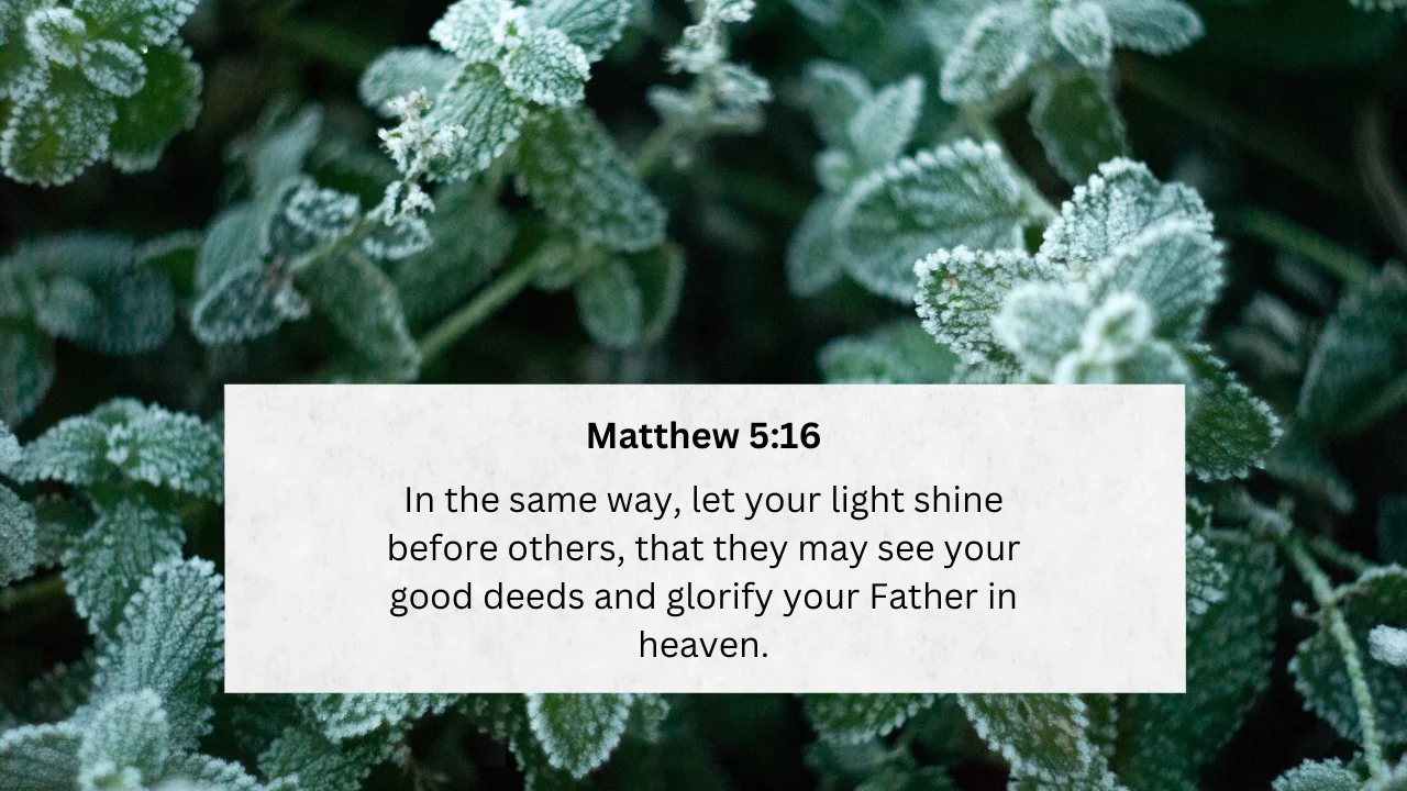 Inspiring Others through Good Deeds in Matthew 5:16