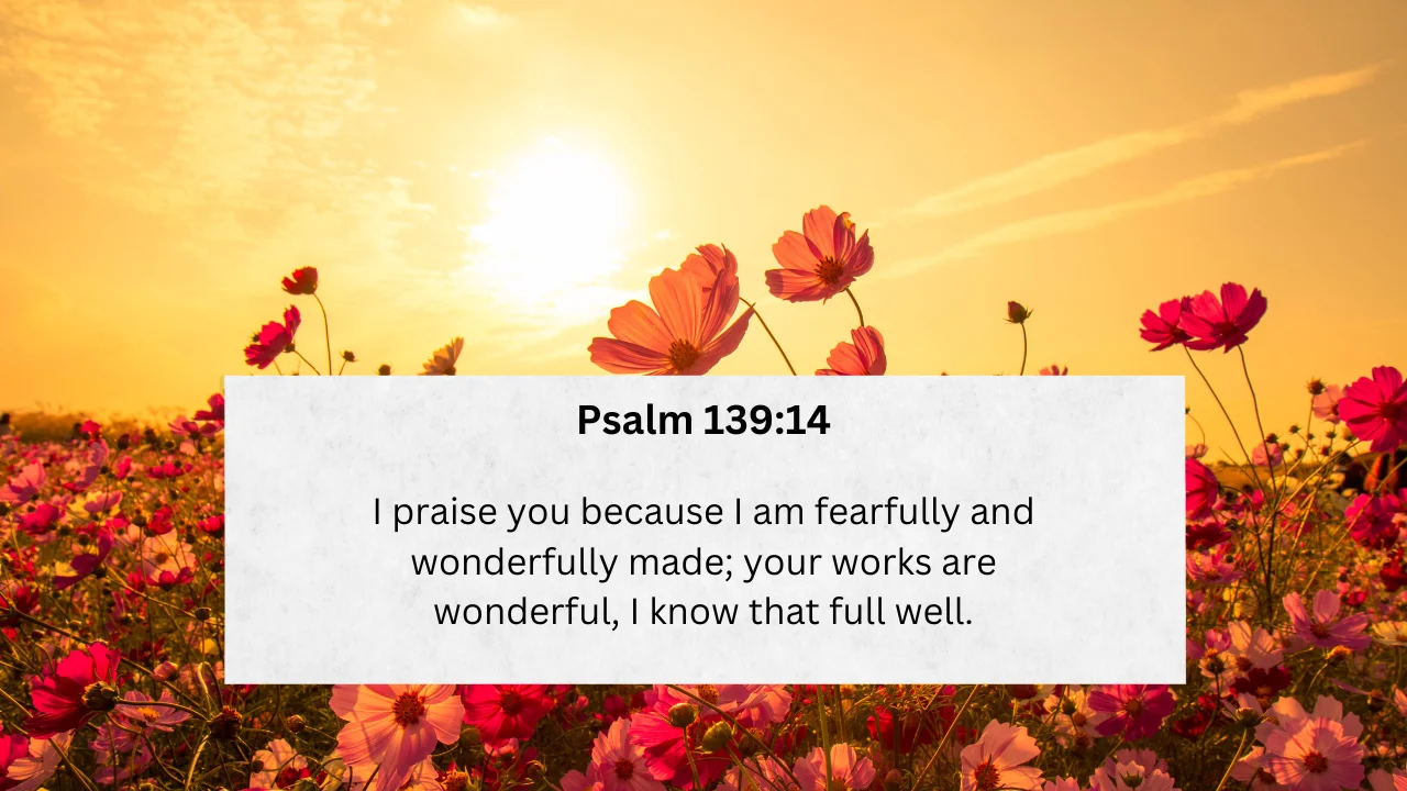 Psalm 139:14 - Celebrating the Marvelous Tapestry of Human Creation