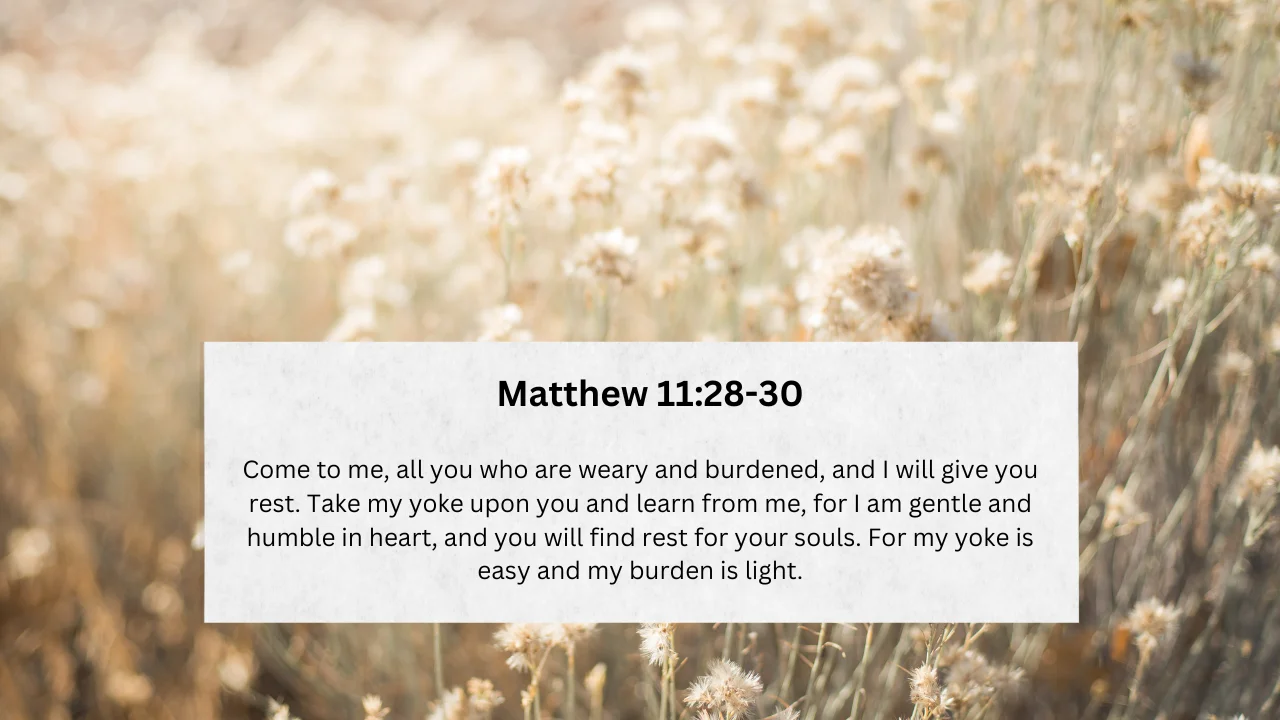 Rest for the Weary: The Everlasting Promise of Matthew 11:28-30