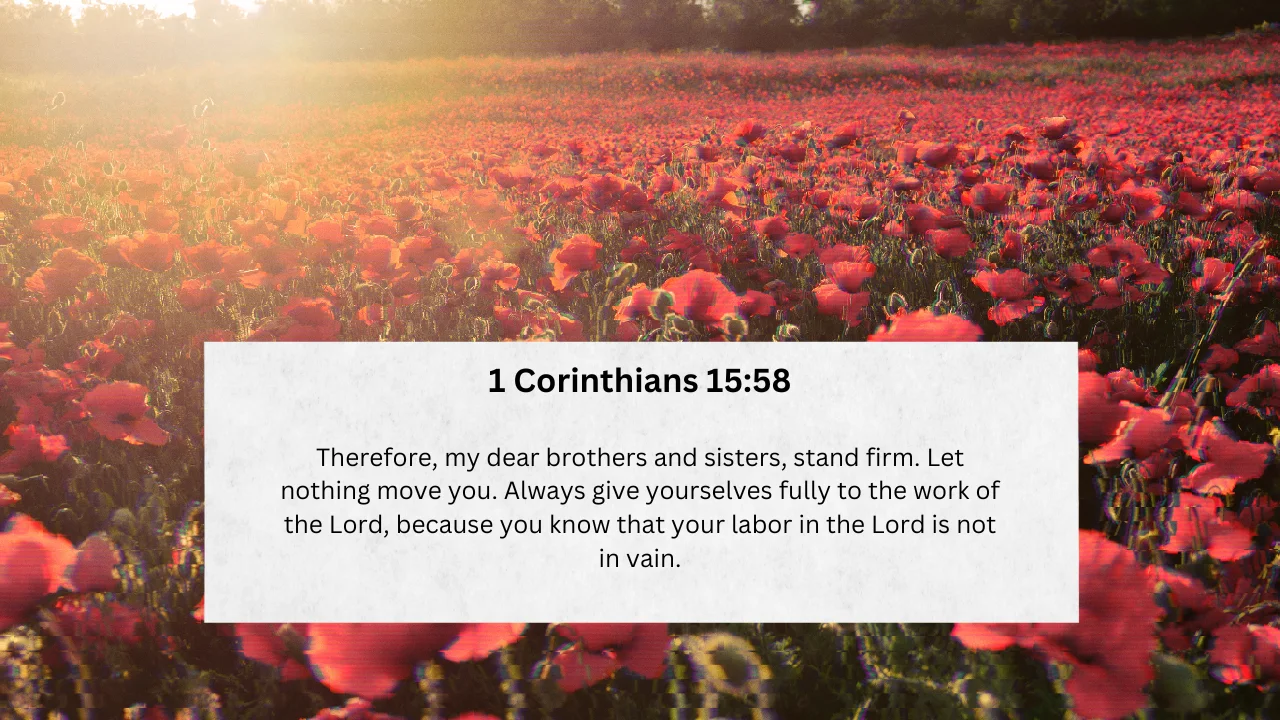 Standing Strong: Embracing Faith, Perseverance, and Eternal Impact
