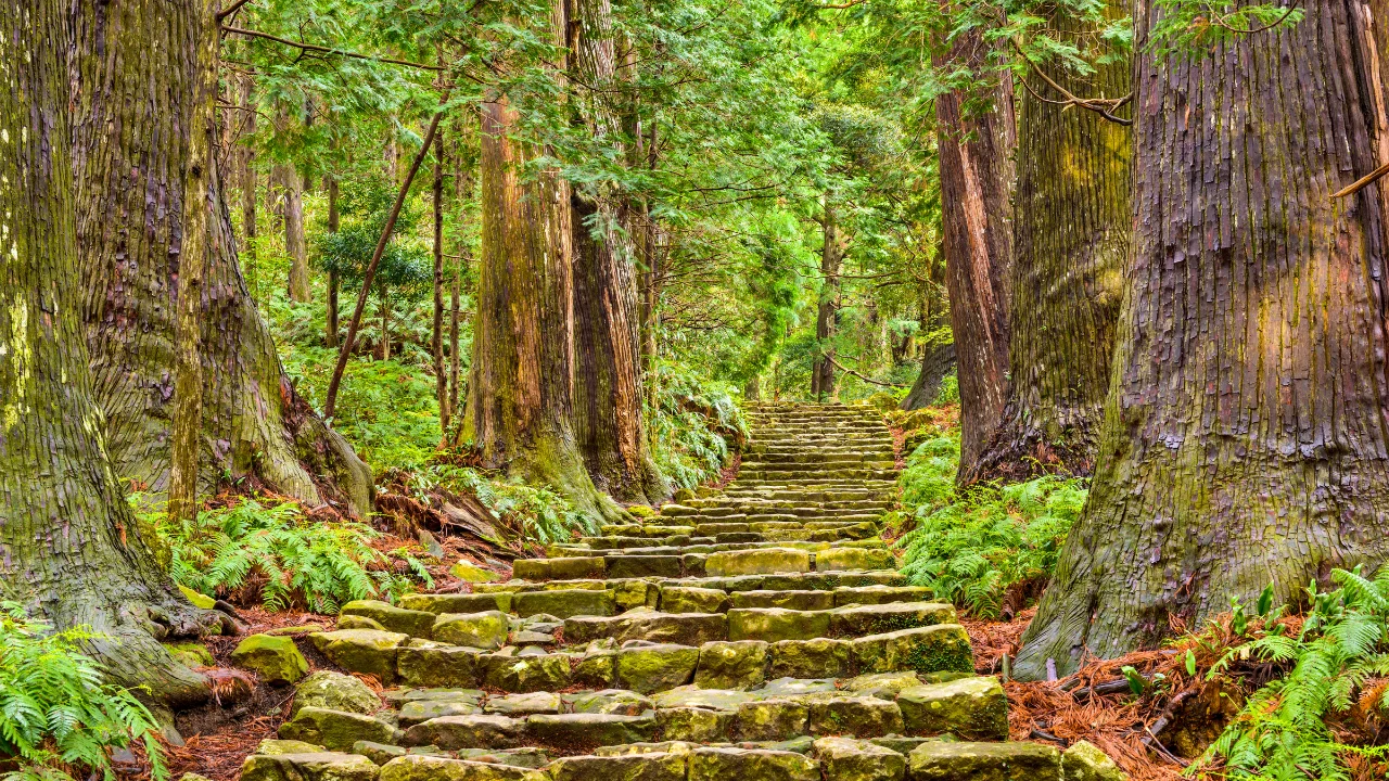 Pilgrimage on Spiritua