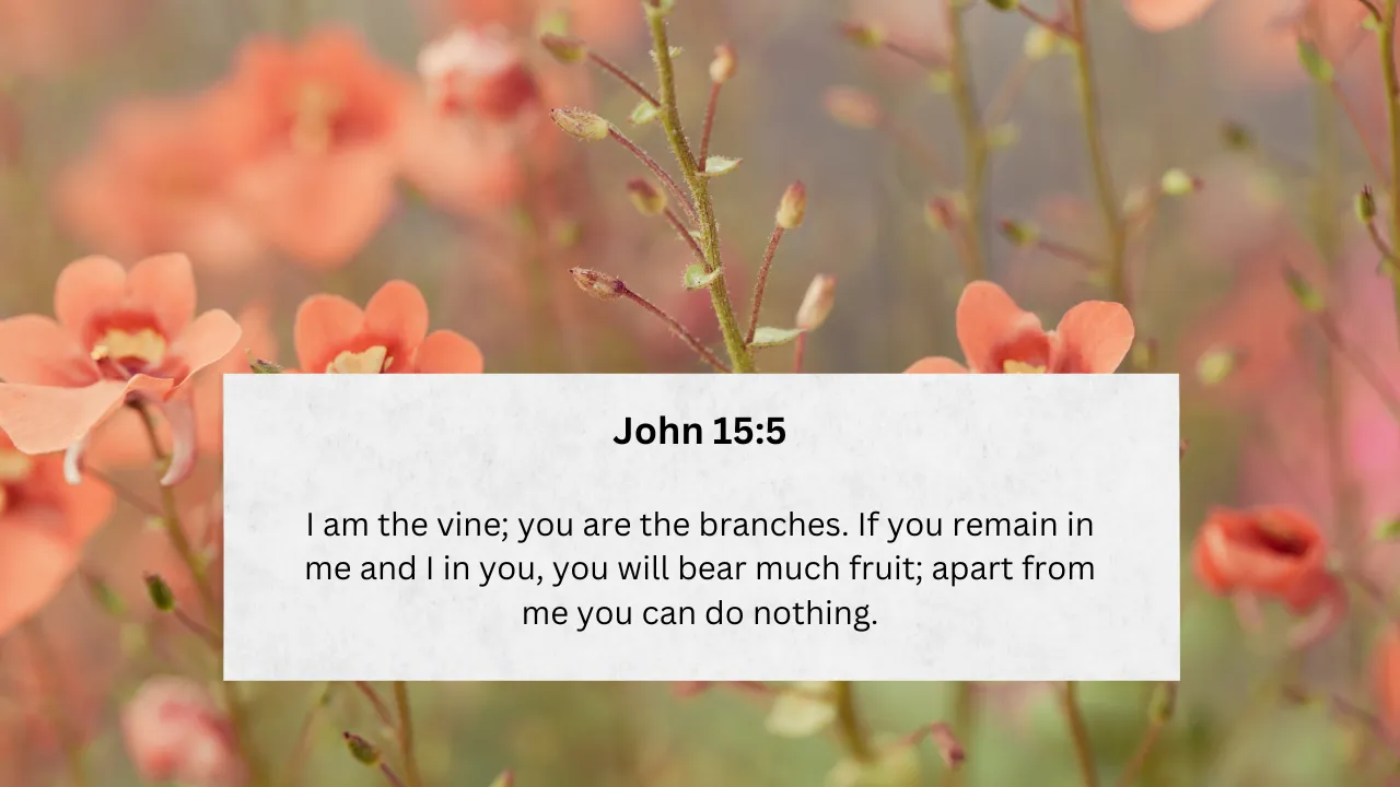 Thriving in Connection: Understanding the Deeper Meaning of John 15:5