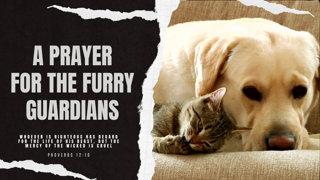 A Prayer for the Well-being of Our Animal Companions"