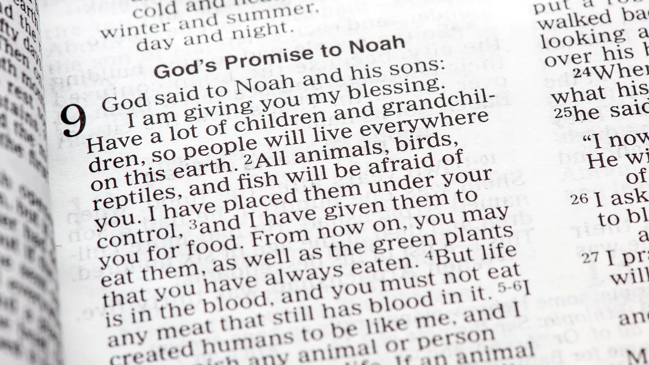 Understanding the Power of God's Promises