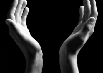 What Are The 6 Qualities Of Surrender?