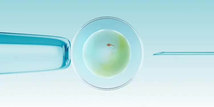 What Religions Opposing In Vitro Fertilization (IVF)