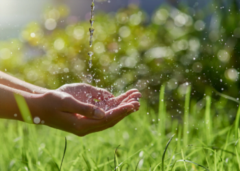 How Can Christians Balance Using Natural Resources