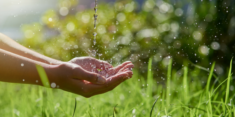 How Can Christians Balance Using Natural Resources