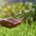 How Can Christians Balance Using Natural Resources