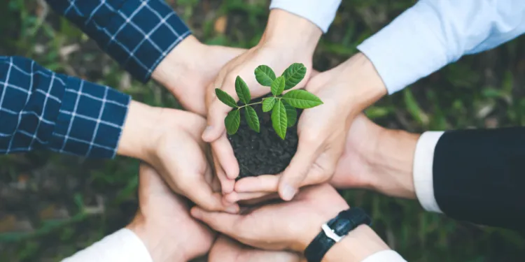 The Christian Mandate for Environmental Stewardship