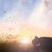 Understanding Surrendering Problems to God from a Biblical Perspective