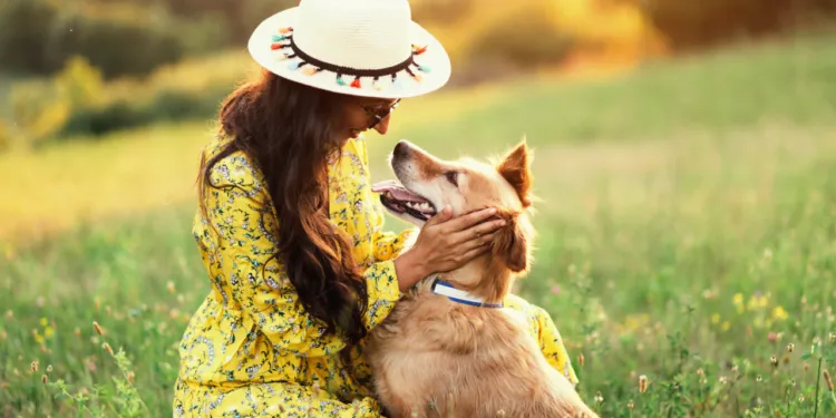 Understanding the Concept of Pets and Animals in Heaven