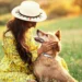 Understanding the Concept of Pets and Animals in Heaven