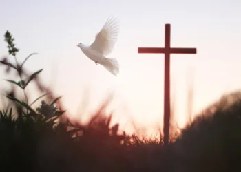 The Symbolism of the Dove in Christian Tradition