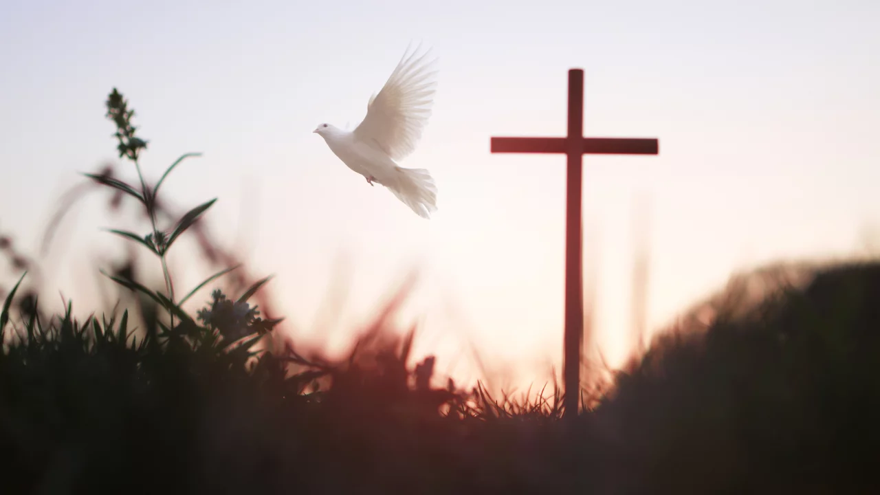 The Symbolism of the Dove in Christian Tradition