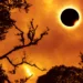 Unraveling The Mysteries of The 2024 Solar Eclipse