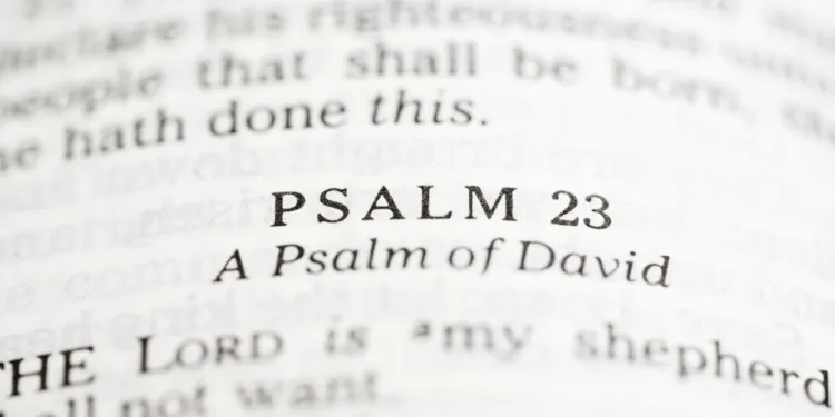 The Life of Psalmist David: A Brief Overview