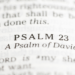 The Life of Psalmist David: A Brief Overview