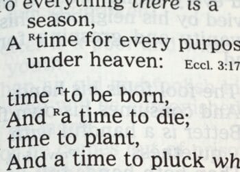 Daily Bible Verses To Calm Your Mind: Scripture for Stress.