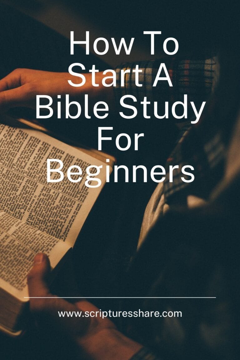 How To Start A Bible Study For Beginners Guide