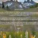 The Best Night Prayer for Forgiveness and Renewal