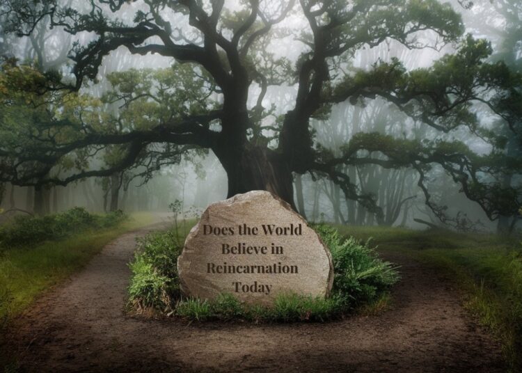 Does the World Believe in Reincarnation Today