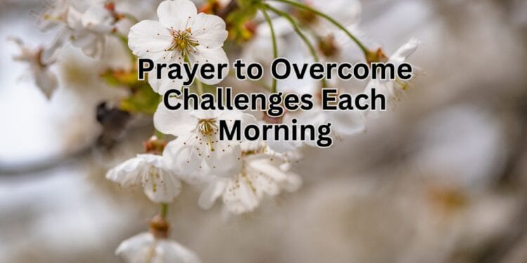 Prayer to Overcome Challenges Each Morning