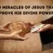 10 Miracles of Jesus That Prove His Divine Power (1)