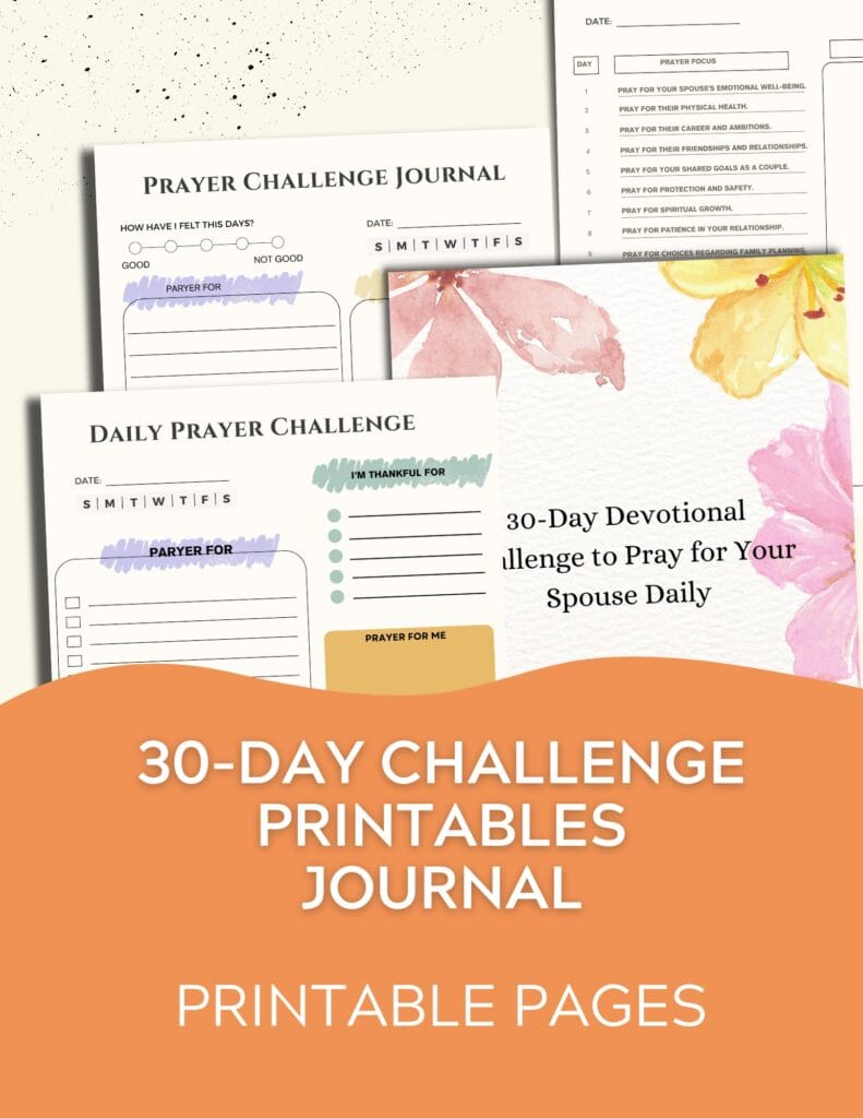 30 Day challenge Printables Journal