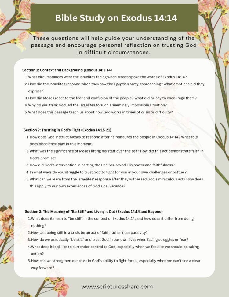 When God Fights For You The Comfort Of Exodus 14 14