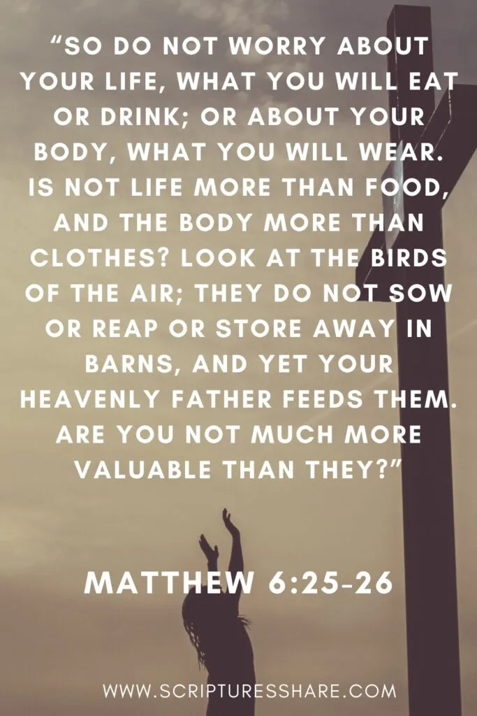 Matthew 6:25-26