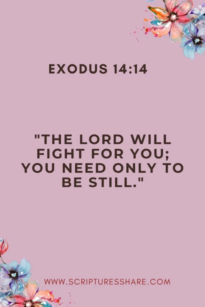 Exodus 14:14