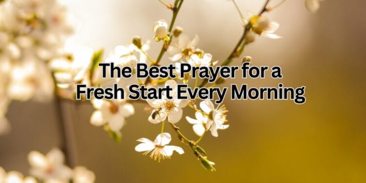 The Best Prayer for a Fresh Start Every Morning