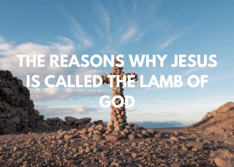 The Reasons Why Jesus Is Called The Lamb Of God