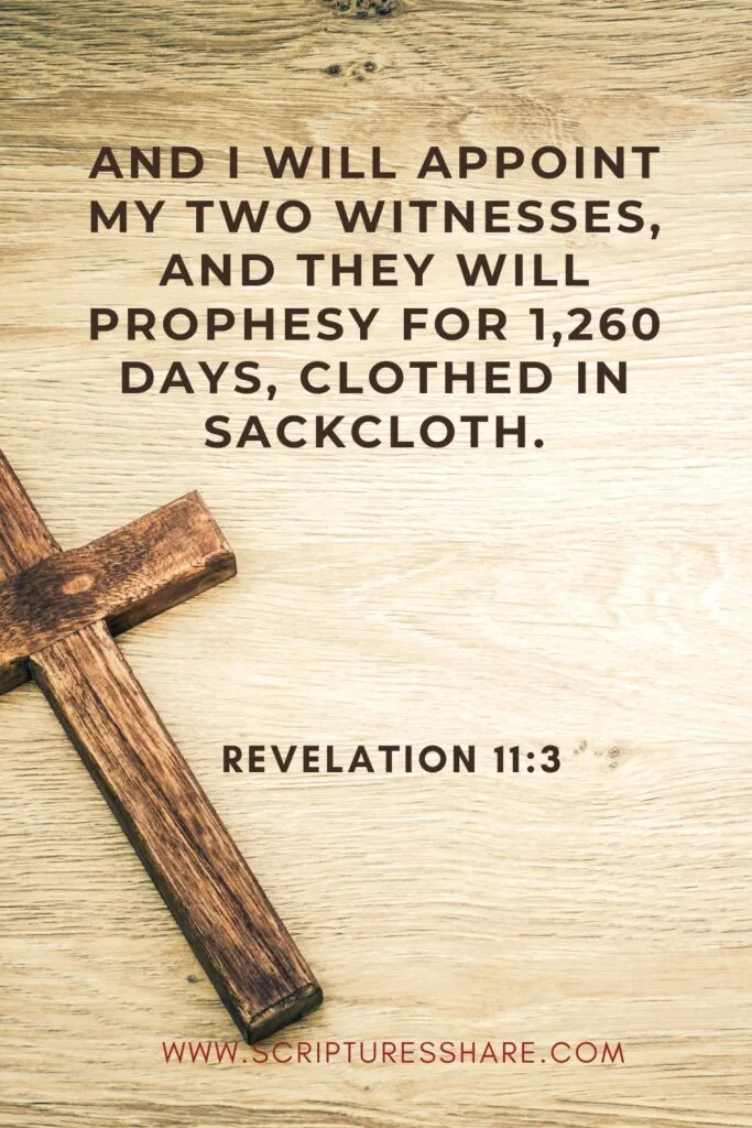 Revelation 11:3