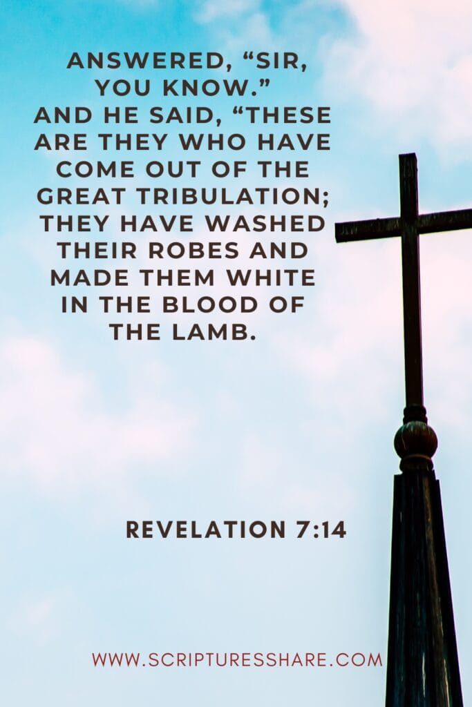 Revelation 7:14