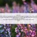 A Beautiful Reflective Night Prayer for God’s Protection