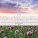 Daily Evening Prayer to Thank God