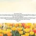 A Powerful Night Prayer To Strengthen Your Trust in God