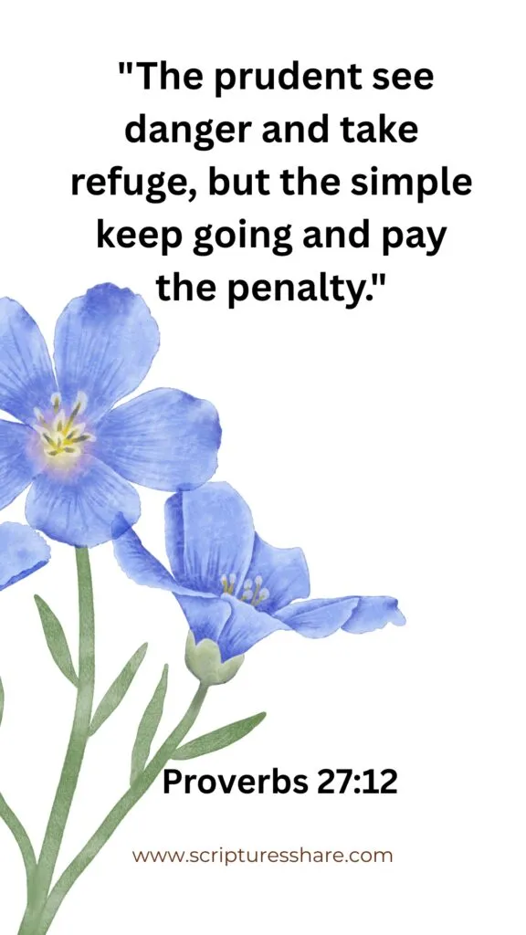 Proverbs 27:12