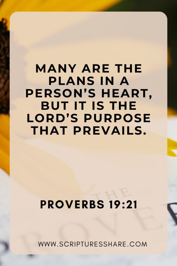 Trust God’s Purpose – Proverbs 19:21 Inspiration
