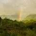 A Beautiful Morning Prayer for Confidence in God’s Promises