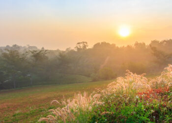 A Morning Prayer for Professional Growth and Success at Work (1)