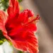 A Morning Prayer to Let God’s Plan Shine Through You