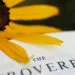 Evening Prayer for a Heart Overflowing With Gratitude